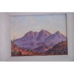 Oil painting picture artist Vicki Darken mt Sonder Australia