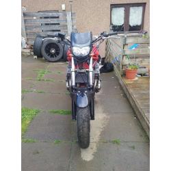 suzuki bandits for sale