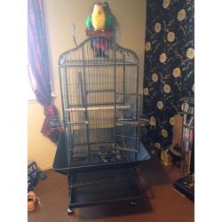 Parrot cage 5ft