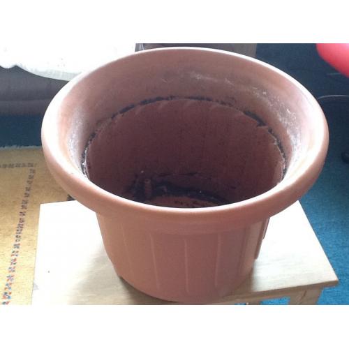 plastic pot for house tree plant
