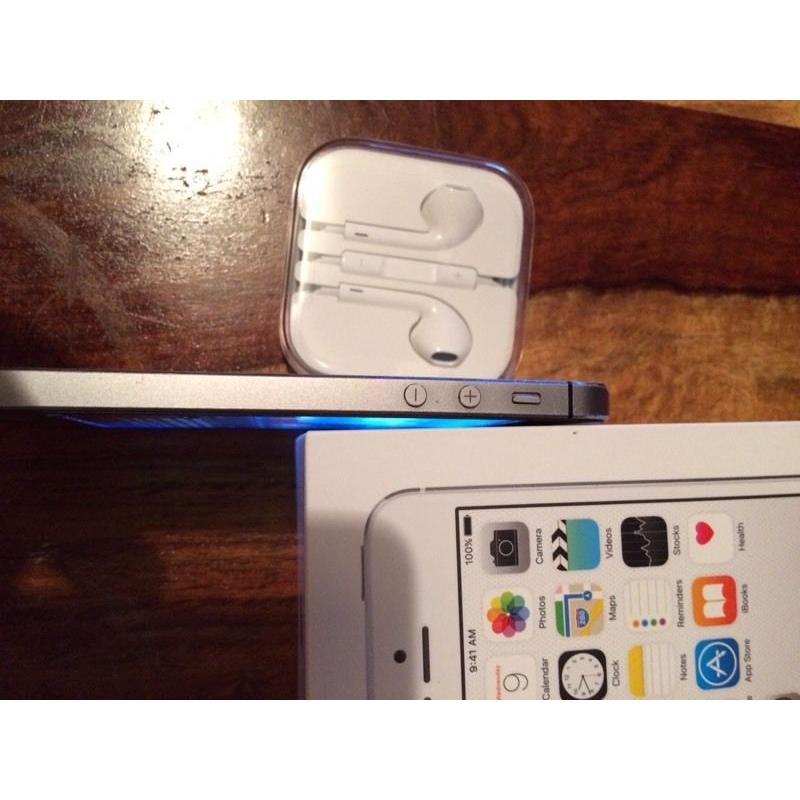 iPhone 5s