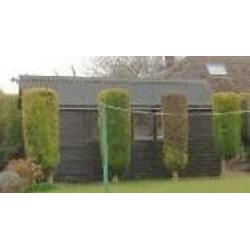 SHED FREE - Thank you for a large response. The shed has now gone to a new home. Many thanks.