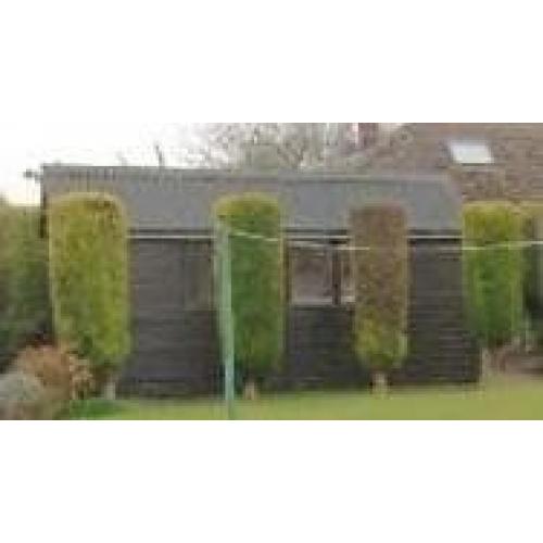 SHED FREE - Thank you for a large response. The shed has now gone to a new home. Many thanks.