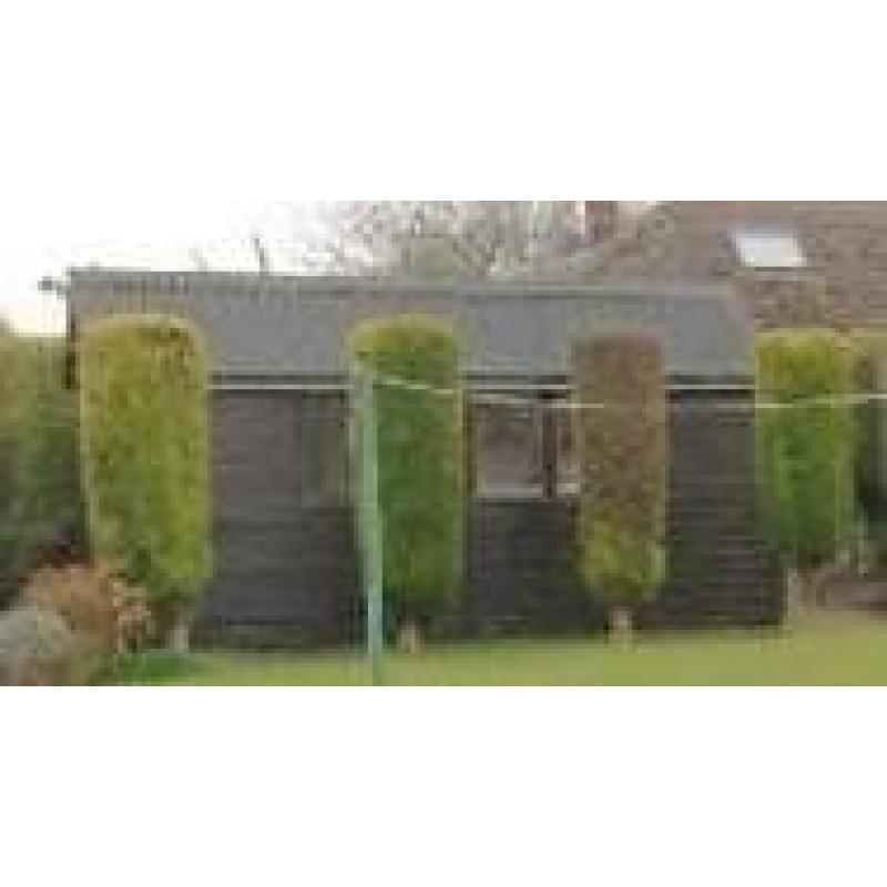 SHED FREE - Thank you for a large response. The shed has now gone to a new home. Many thanks.