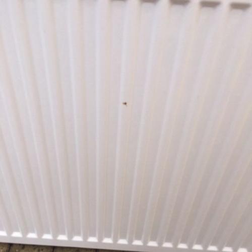 2 double radiators for sale