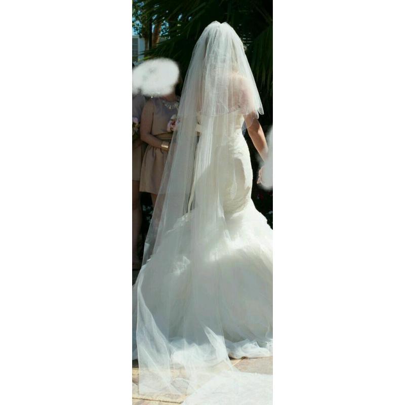 Ivory cathedral length Wedding Veil