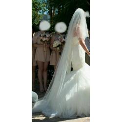 Ivory cathedral length Wedding Veil
