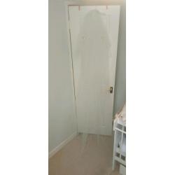 Ivory cathedral length Wedding Veil