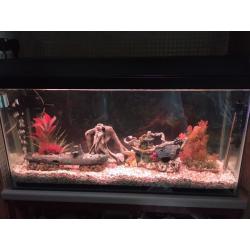 FISH TANK TROPICAL FULL SET UP JUST ADD WATER AND FISH