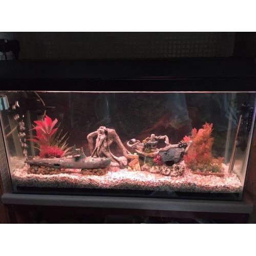 FISH TANK TROPICAL FULL SET UP JUST ADD WATER AND FISH