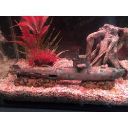 FISH TANK TROPICAL FULL SET UP JUST ADD WATER AND FISH