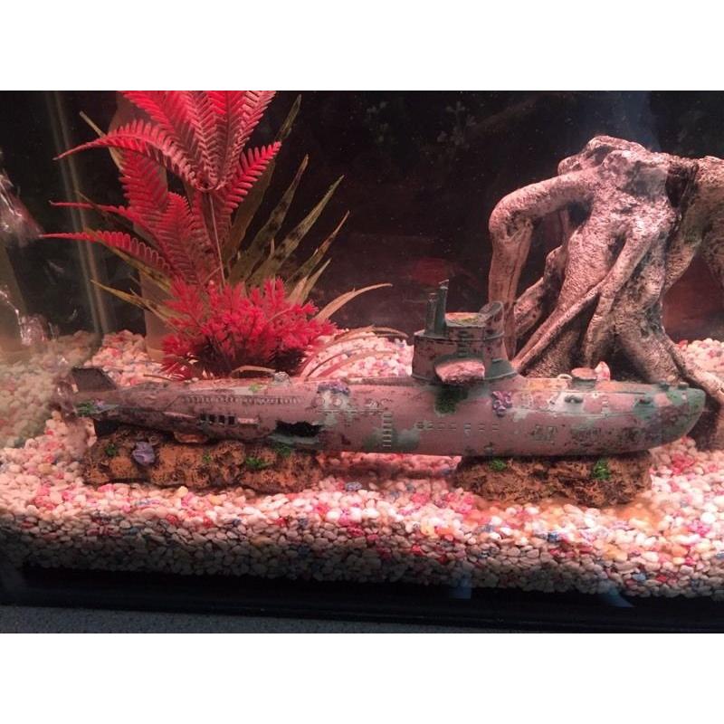 FISH TANK TROPICAL FULL SET UP JUST ADD WATER AND FISH