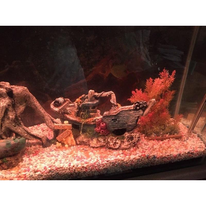 FISH TANK TROPICAL FULL SET UP JUST ADD WATER AND FISH