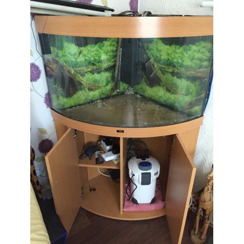 Jewell corner fishtanks