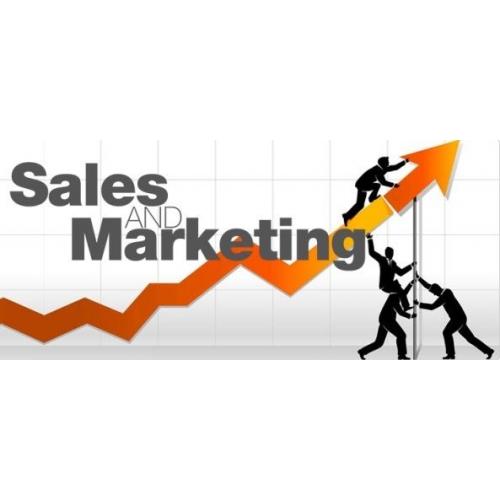 Sales Roles - PROGRESSION!