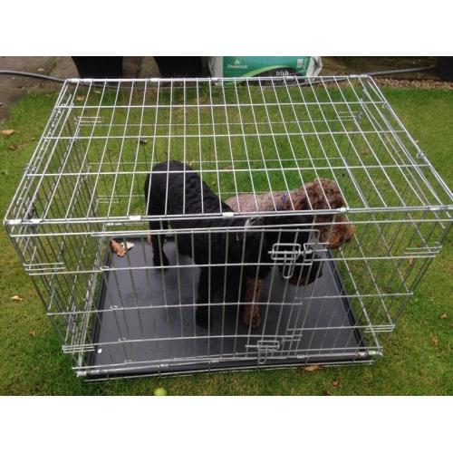 Large Dog Cage