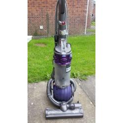 Dyson Animal