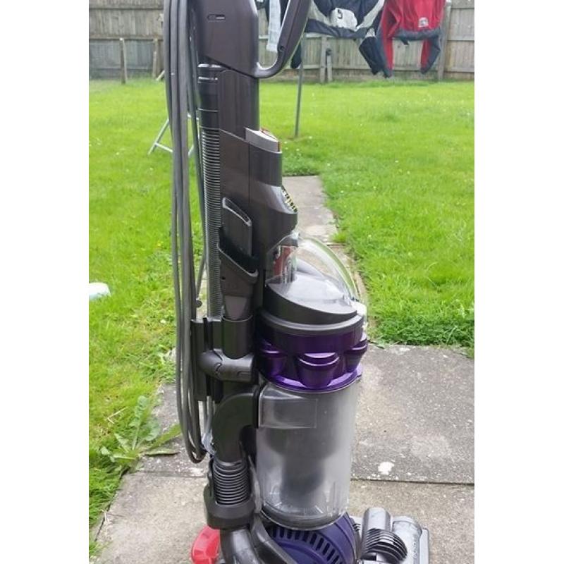 Dyson Animal