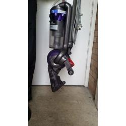 Dyson Animal