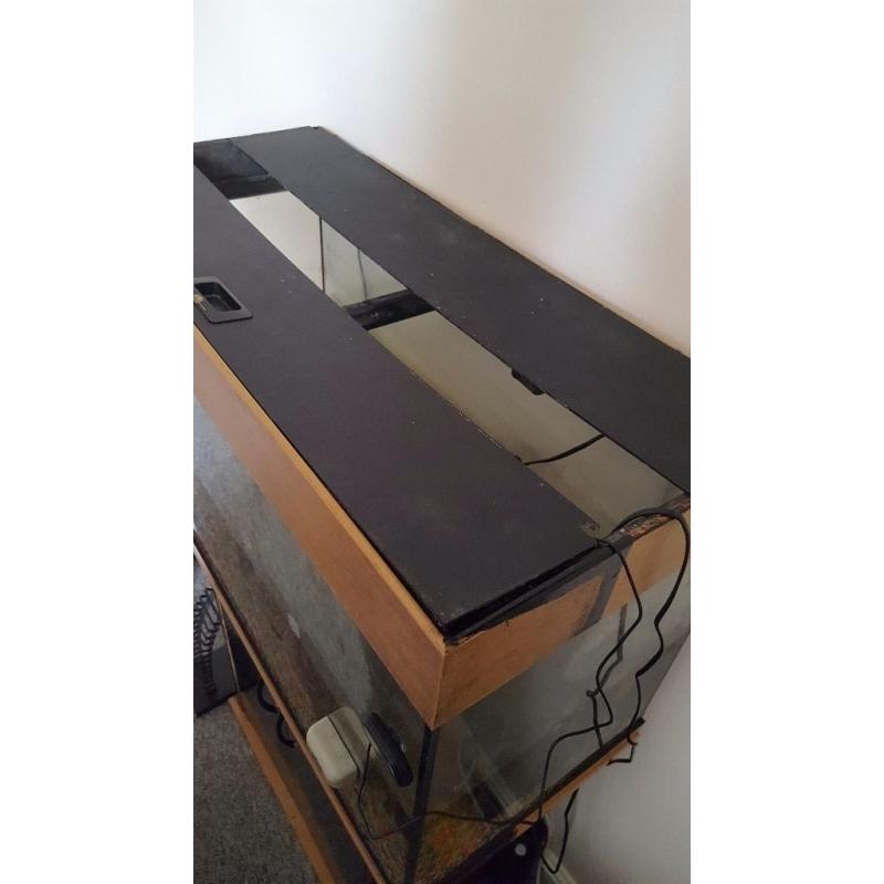 125lt fish tank plus fish