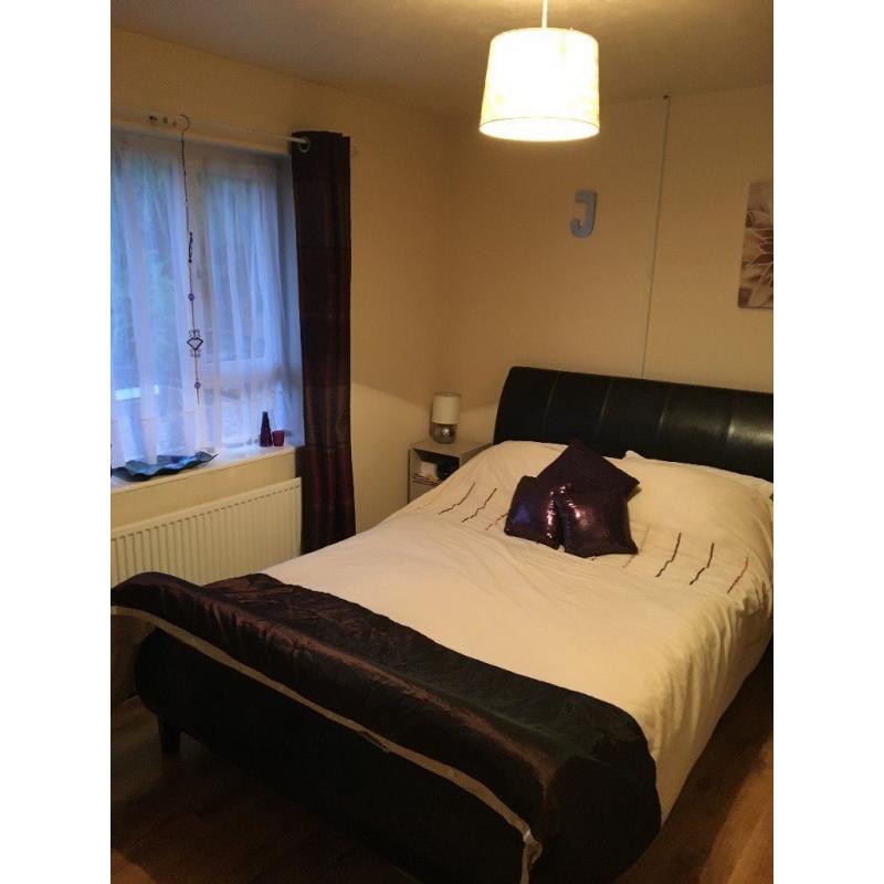 Looking for a profesional male/female interested in a room in a two bedroom flat