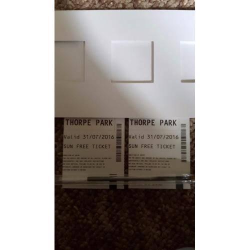 Sunday 31st july 31/07 thorpe park x2 not alton towers