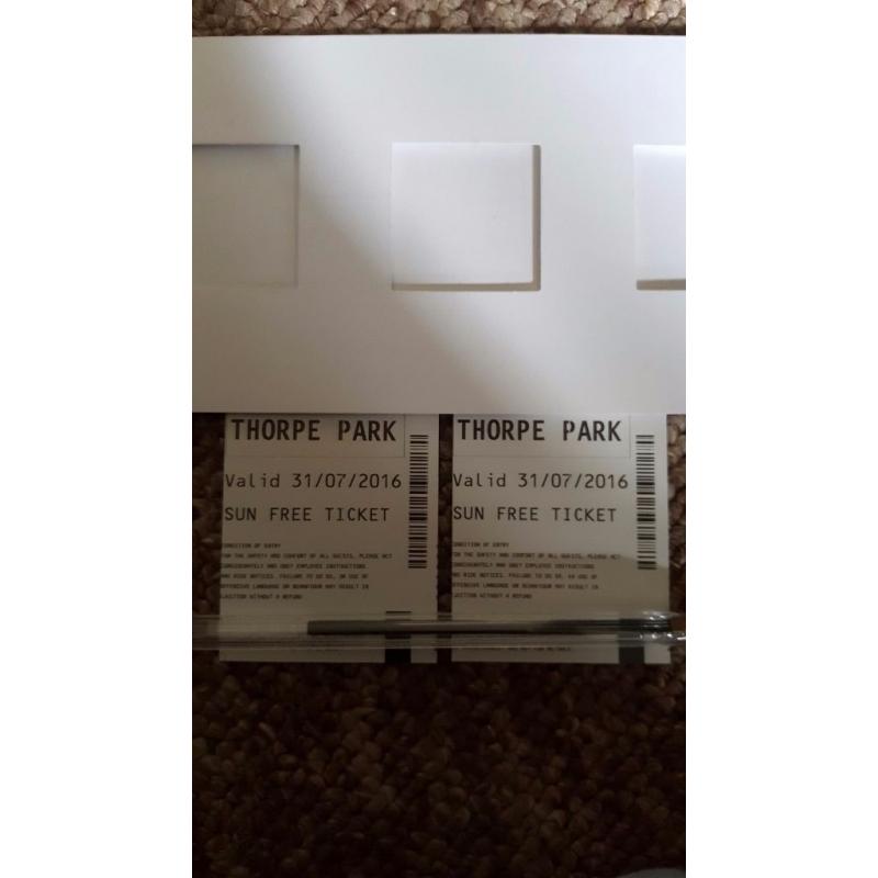 Sunday 31st july 31/07 thorpe park x2 not alton towers