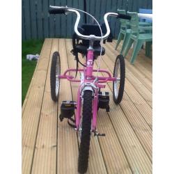 Tricycle kids special needs