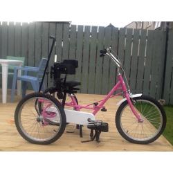Tricycle kids special needs