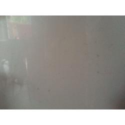 Fridge Freezer