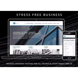 Expert web design & development - e-commerce // mobile design // SEO // website designer
