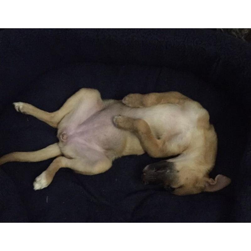 Little Ruby