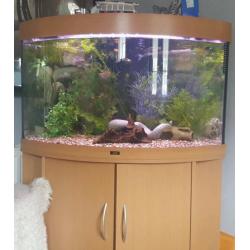 Juwel 190L corner tank with fish + everything you need.