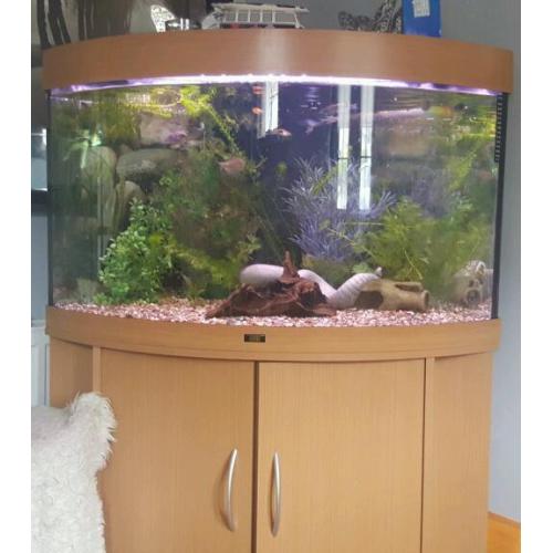 Juwel 190L corner tank with fish + everything you need.