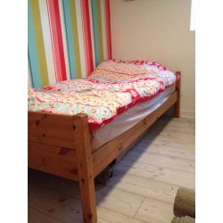 Single wooden bed frame solid