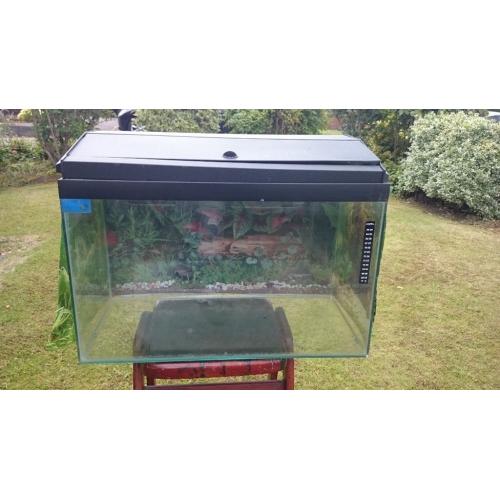 Fish Tank
