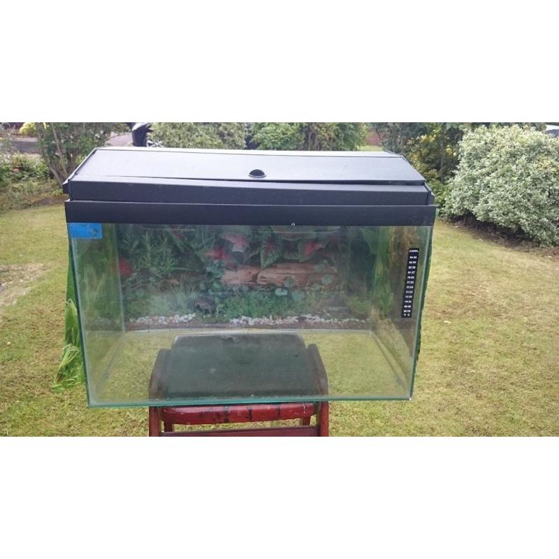 Fish Tank
