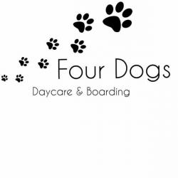 Dog walking and boarding