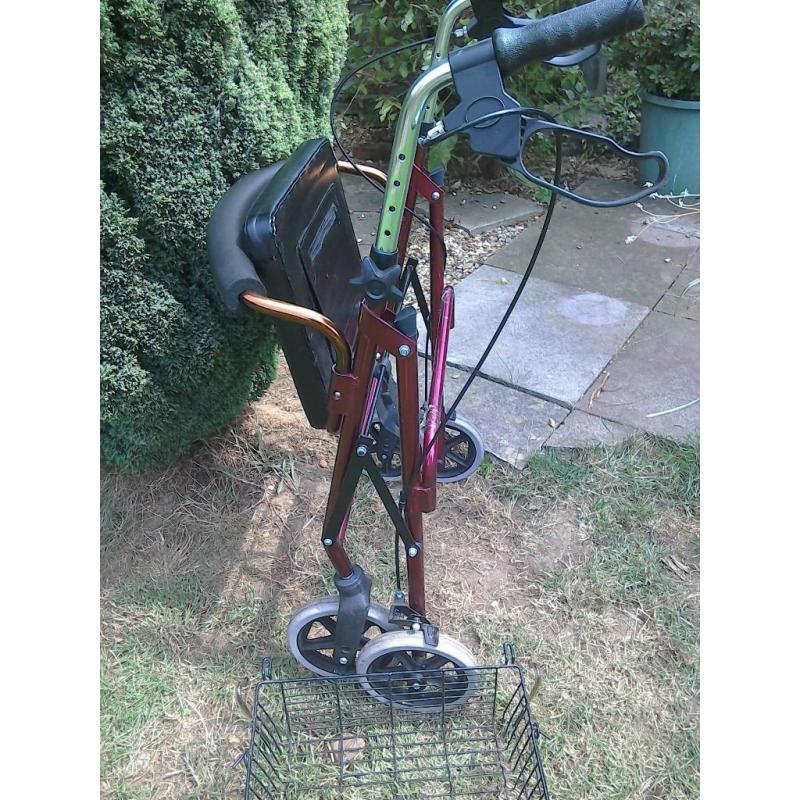 mobility walker/shopper