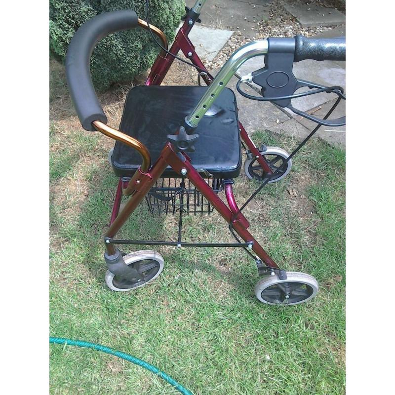 mobility walker/shopper