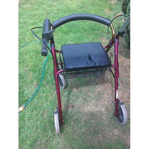 mobility walker/shopper