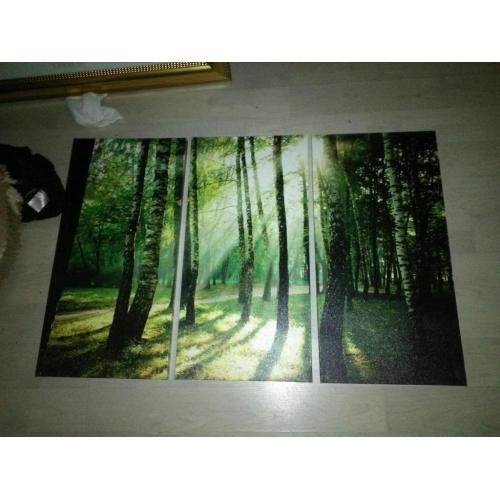 Scenery canvas 3 different photos