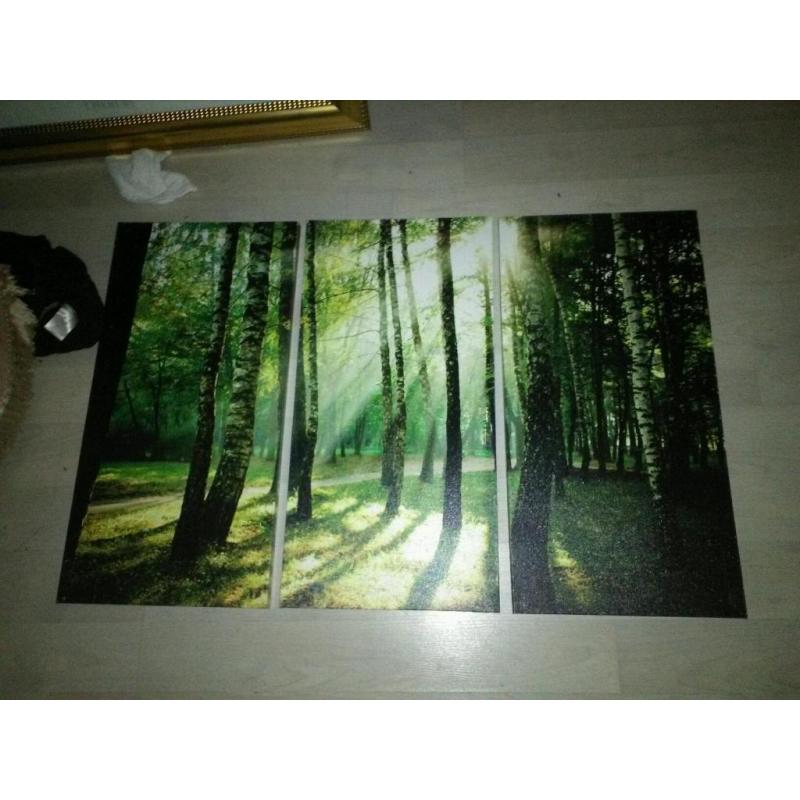 Scenery canvas 3 different photos