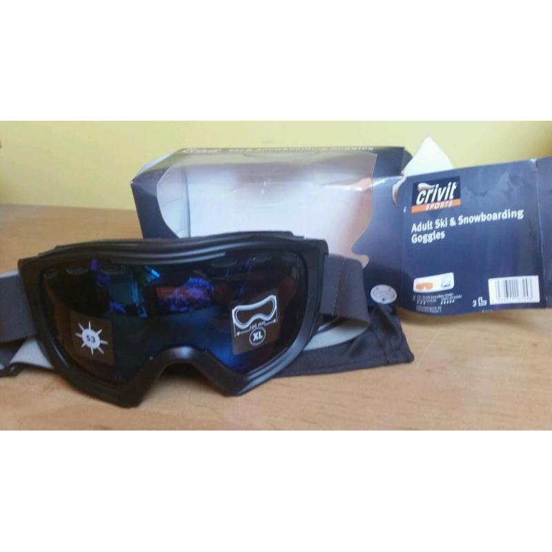 Ski goggles