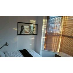 Bright Double Bedroom available