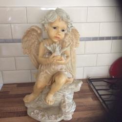 Cherub