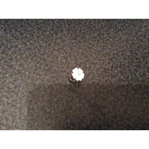 Pandora charm