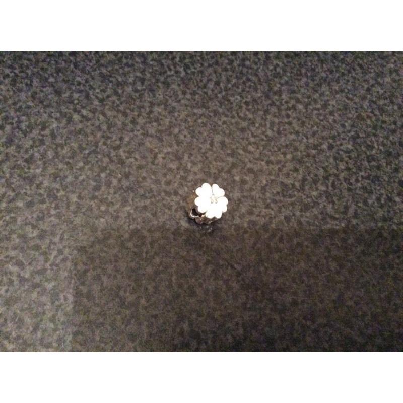 Pandora charm
