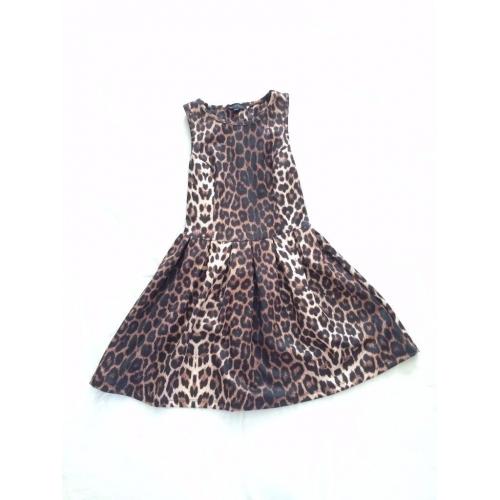 Leopard Print Skater Dress