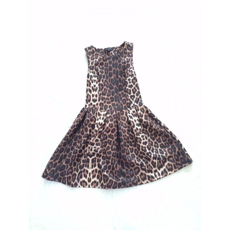 Leopard Print Skater Dress